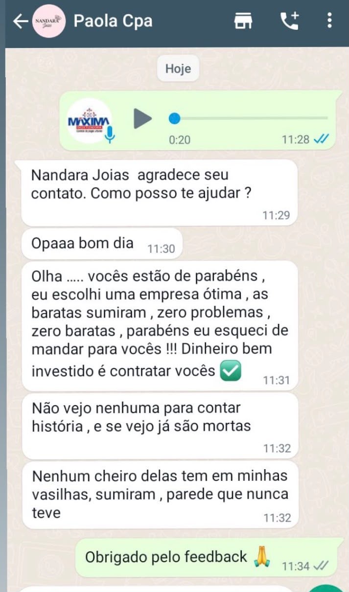 Avaliação de cliente elogiando o fim da infestação de baratas